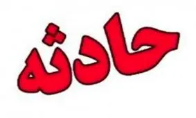 وقوع 284 حادثه بر اثر بارش برف در مشهد/ سقوط 198 اصله درخت