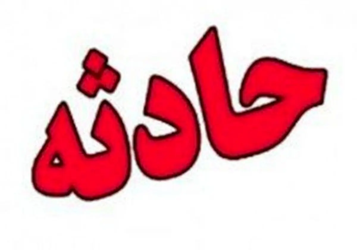 وقوع 284 حادثه بر اثر بارش برف در مشهد/ سقوط 198 اصله درخت