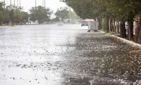 بارش‌ باران در استان بوشهر مشکلی ایجاد نکرد