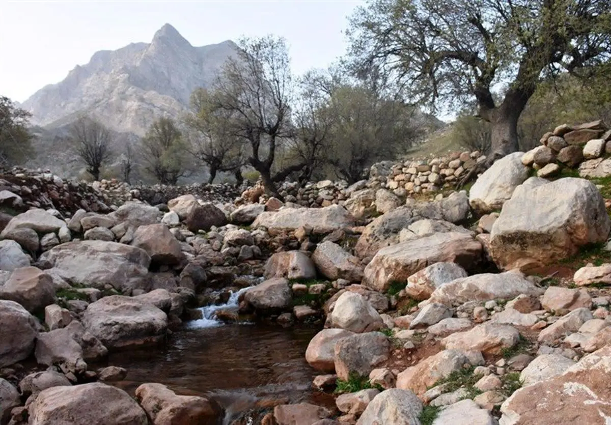 آخرین وضعیت مردم احمد فداله دزفول؛ ضرورت امدادرسانی به مردم منطقه