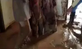 دختران جوان پلدختری تا کمر در گل و لای+ویدئو