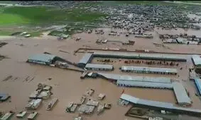 گلستان دوم در لرستان+ویدئو