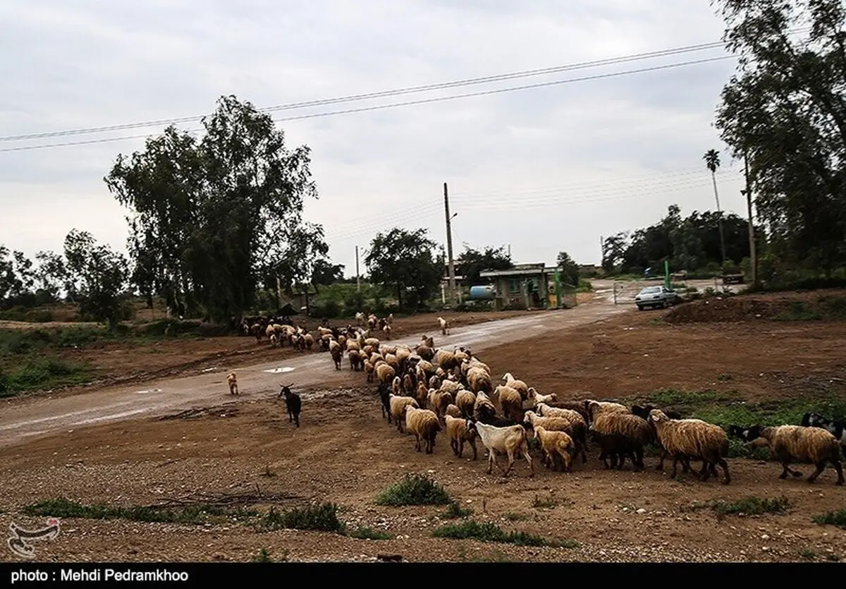 دستور تخلیه روستاهای زاویه دزفول صادر شد