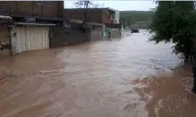فیلم/ سیل سلسله را غرق آب کرد