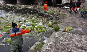 روز ۱۳ فروردین جلوه‌ای از صحنه احترام مردم به طبیعت باشد