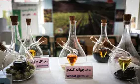 ایده‌شو تخصصی "کسب و کارهای موفق و کارآفرینی در گیاهان دارویی"