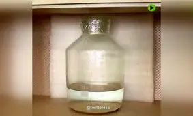 فیلم | کشف اکسیر جاودانگی در چین!