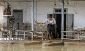 وقوع چه بیماری‌هایی پس از سیل طبیعی محتمل است؟