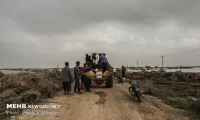 روستا «ام الحجار» شادگان با رعایت احتیاط تخلیه شد