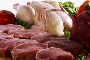 مرغ و گوشت در نوروز گران نشد/ برخی به دنبال دامن زدن به افزایش قیمتها هستند/ واردات جدید گوسفند زنده