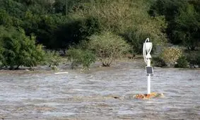 ورود آب بارش‌های باران به رودخانه‌های استان بوشهر ۲.۵ برابر افزایش یافت