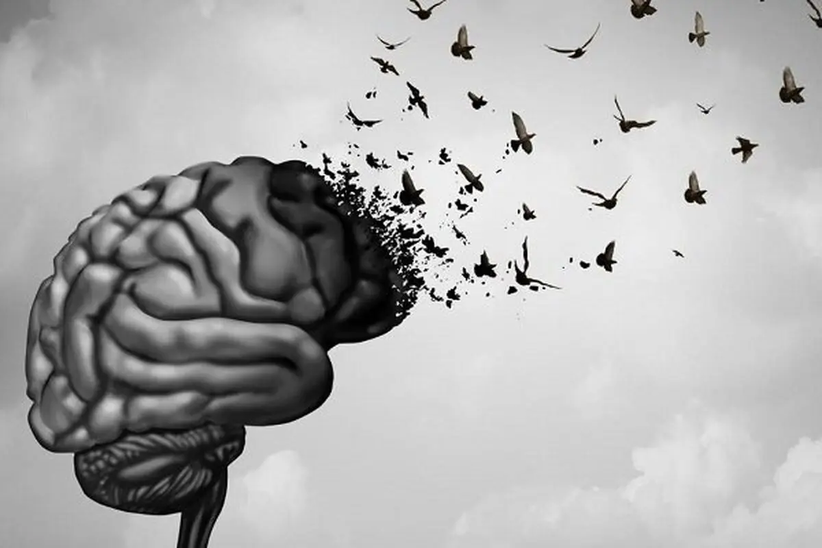 آیا امکان جوان‌کردن مغز وجود دارد؟
