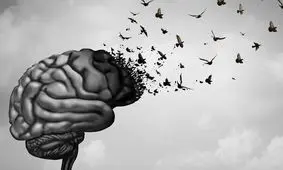 آیا امکان جوان‌کردن مغز وجود دارد؟