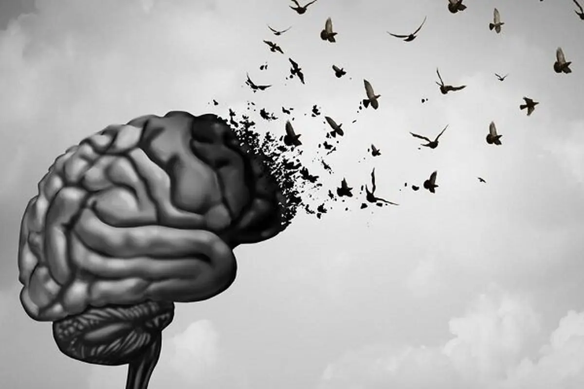 آیا امکان جوان‌کردن مغز وجود دارد؟