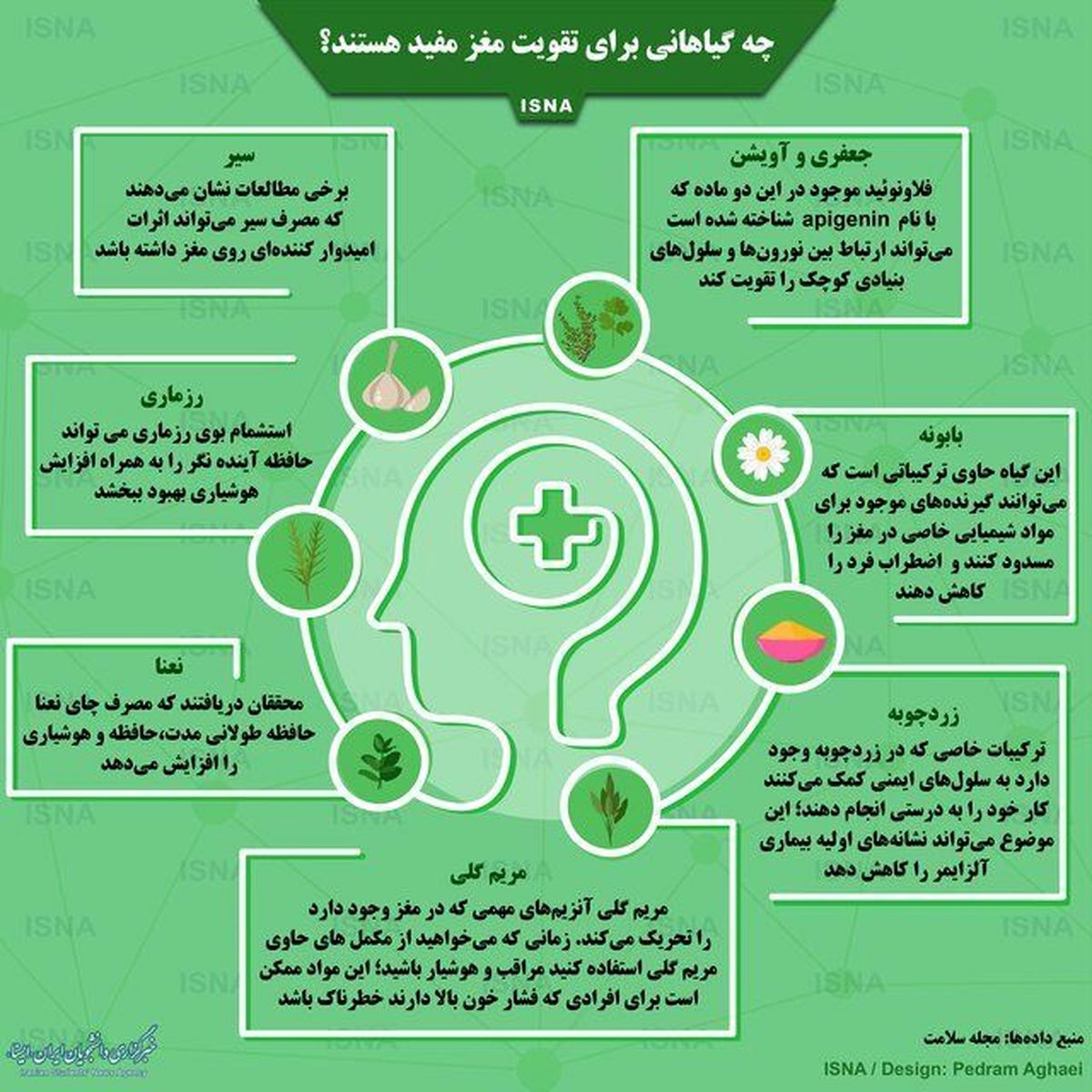 گیاهانی که برای تقویت مغز مفید هستند