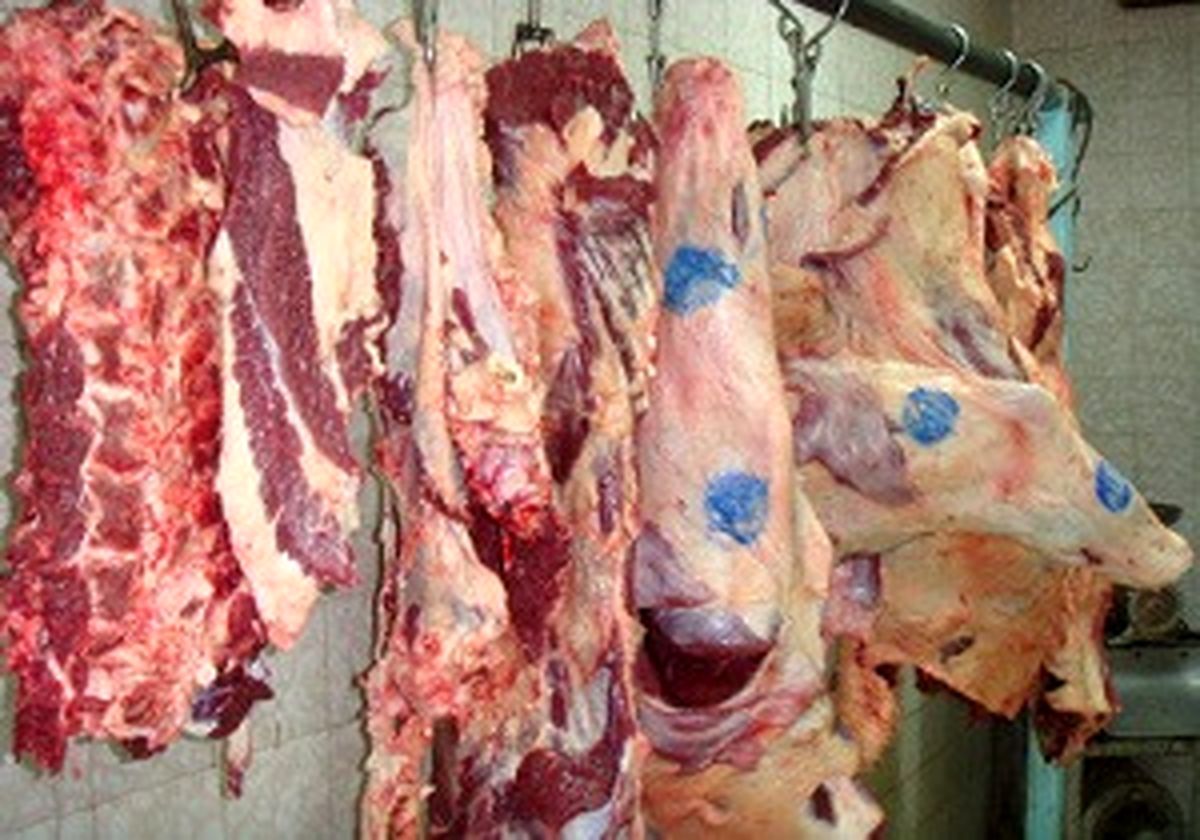 کشف گوشت قرمز فاسد در ۳ رستوران بینراهی واقع در دماوند