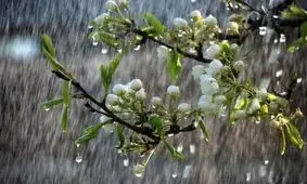 موج پربارش دیگری 7 روز دیگر وارد کشور می شود+نقشه بارشی