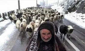 سیلاب تمام راه‌های عشایری را تخریب کرد/۱۷۵ خانوار از سیلاب نجات یافتند