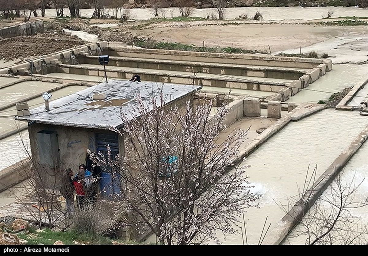 خسارت سیل به طرحهای بدون مجوز در کهگیلویه و بویراحمد پرداخت نمیشود