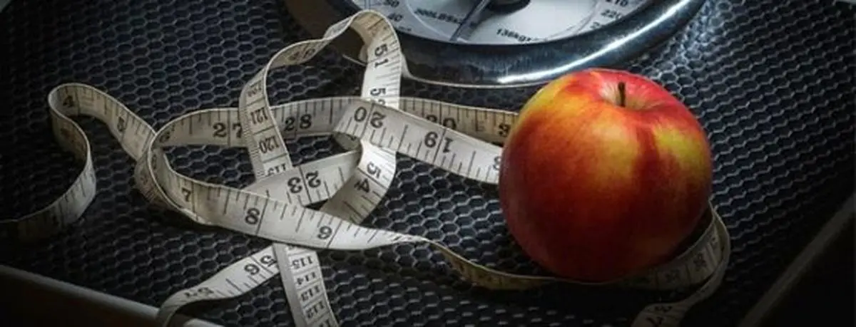 کدام میوه‌ها چربی‌هایمان را می‌سوزاند؟