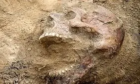 کشف 220 جسد در چند گور جمعی در مکزیک