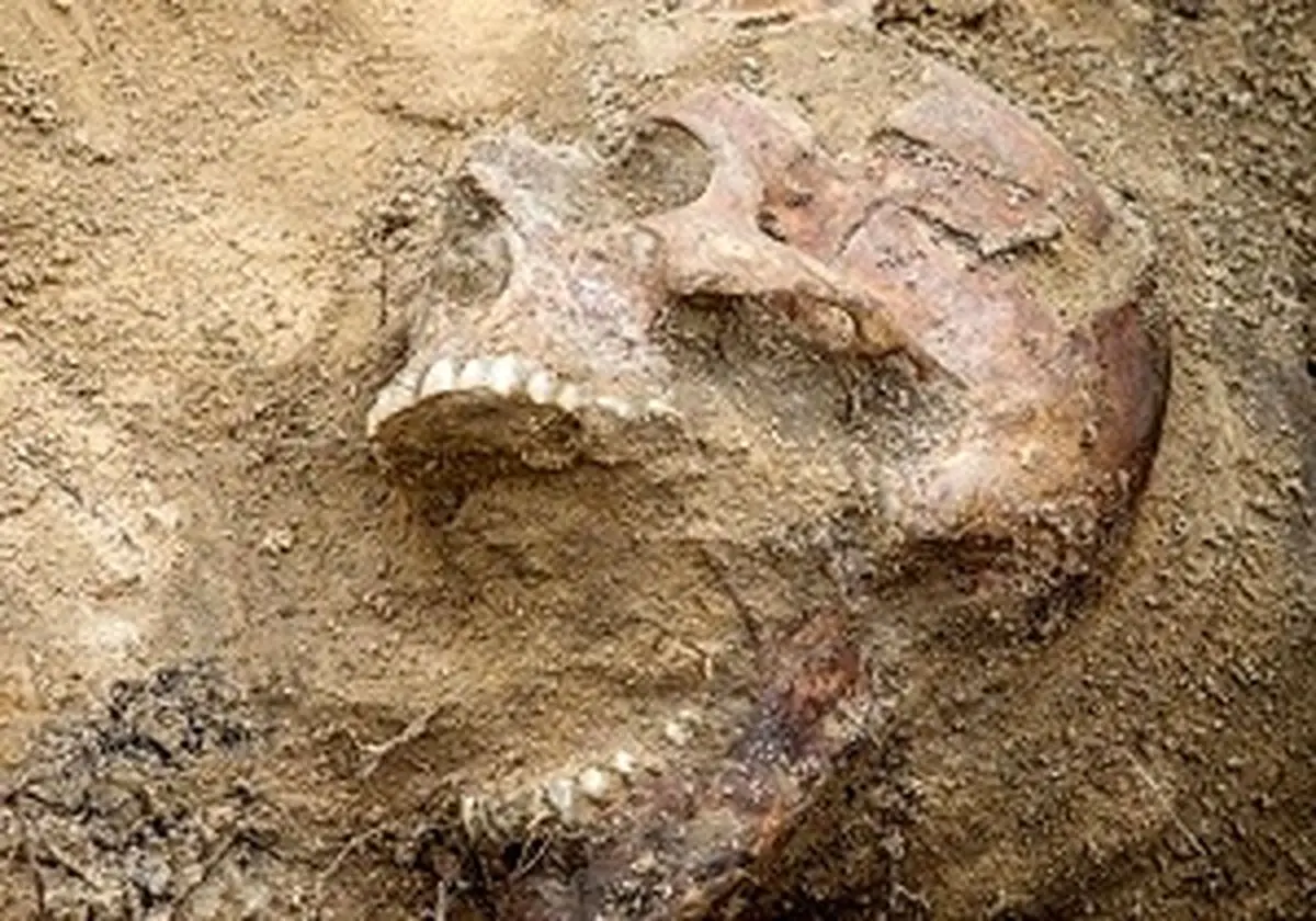 کشف 220 جسد در چند گور جمعی در مکزیک