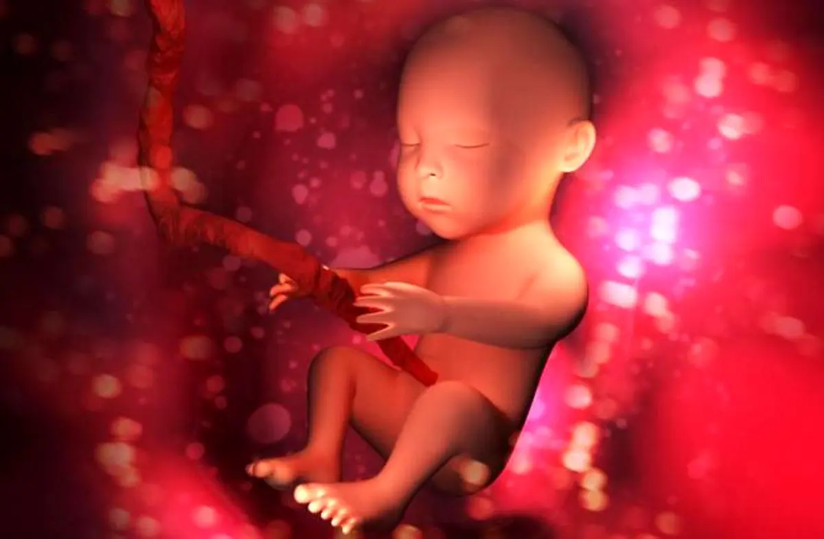 راهکارهایی برای بیدار کردن جنین در رحم/ با جنین صحبت کنید