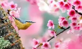 عادت های سالم برای شروع فصل بهار