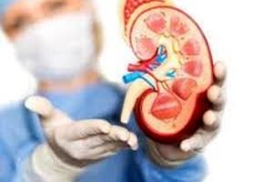 فوت و فن های پیشگیری از نارسایی کلیه