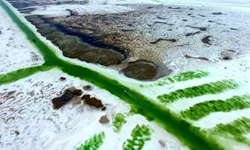 معادن زیبای نمک به روایت تصویر