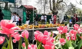 جشنواره گل‌های لاله در بهشت روی زمین +تصاویر