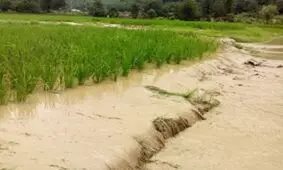 بودجه ۱.۲میلیاردی کفاف خسارت‎های مناطق سیل‎زده را نمی‎دهد/ مجبور باشیم از صندوق توسعه ملی برای کمک به کشاورزان استفاده می‌کنیم/ وزارت کشاورزی هنوز برآورد دقیقی را از میزان خسارت‎ها ندارد