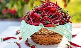 کند شدن روند گسترش سرطان ریه با مصرف فلفل تند