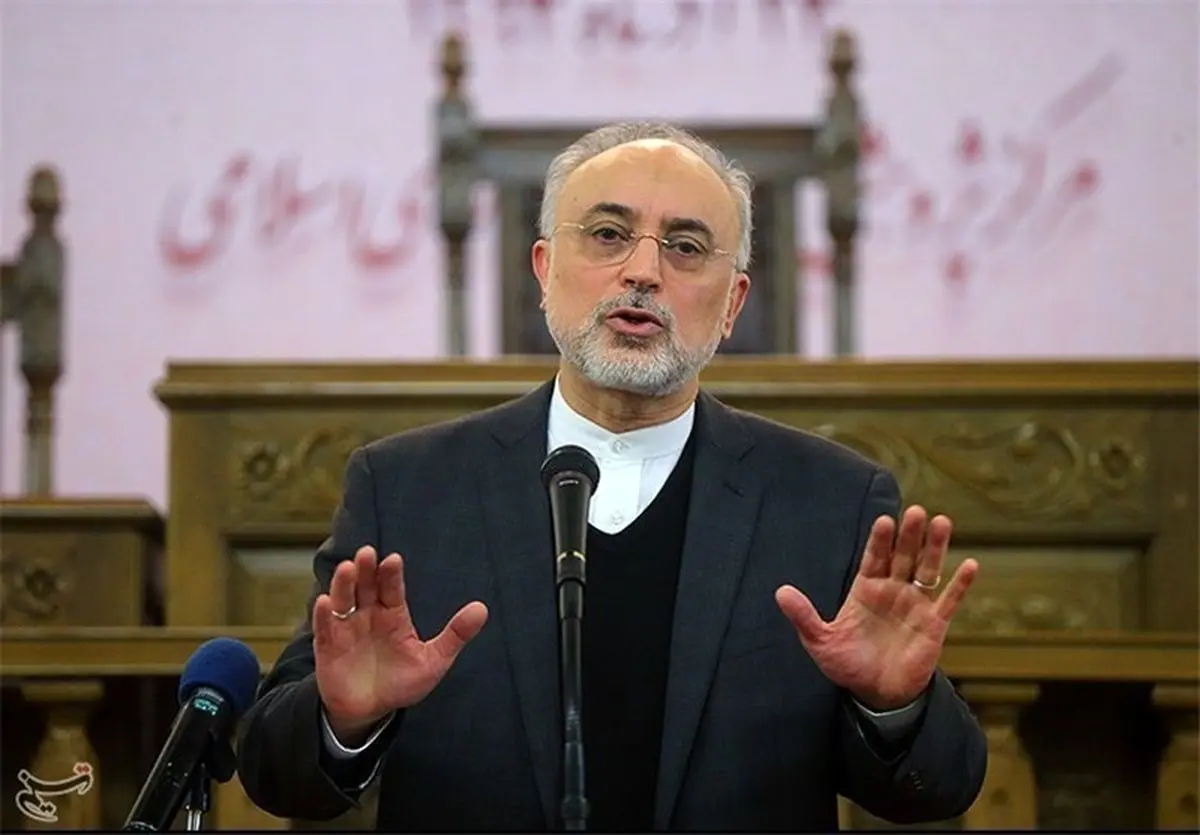 صالحی: چالش هسته‌ای غرب فرصت بی‌بدیل برای صنعت هسته‌ای کشور است