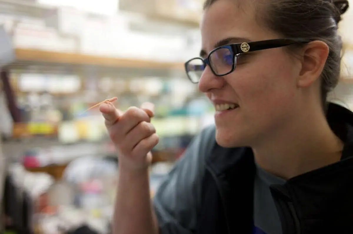 تولد نخستین مارمولک‌های مهندسی ژنتیکی شده جهان