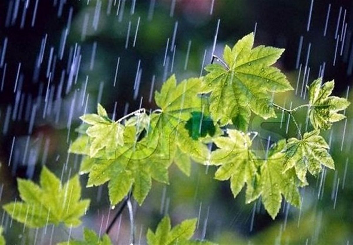 کاهش ۴ تا ۸ درجهای دما در شمال شرق کشور
