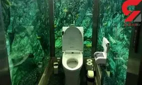 ساخت لاکچری ترین توالت فرنگی برای بانوان در یک آکواریوم+عکس
