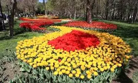 این گل‌ها واقعی هستند! +تصاویر