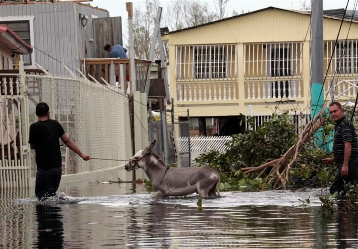 ۳۵ هزار آمریکایی هنوز با خسارات طوفان ماریا دست و پنجه نرم می‌کنند