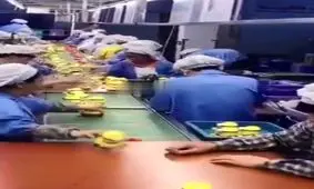 طاقت فرسا ترین شغل تنبل ها