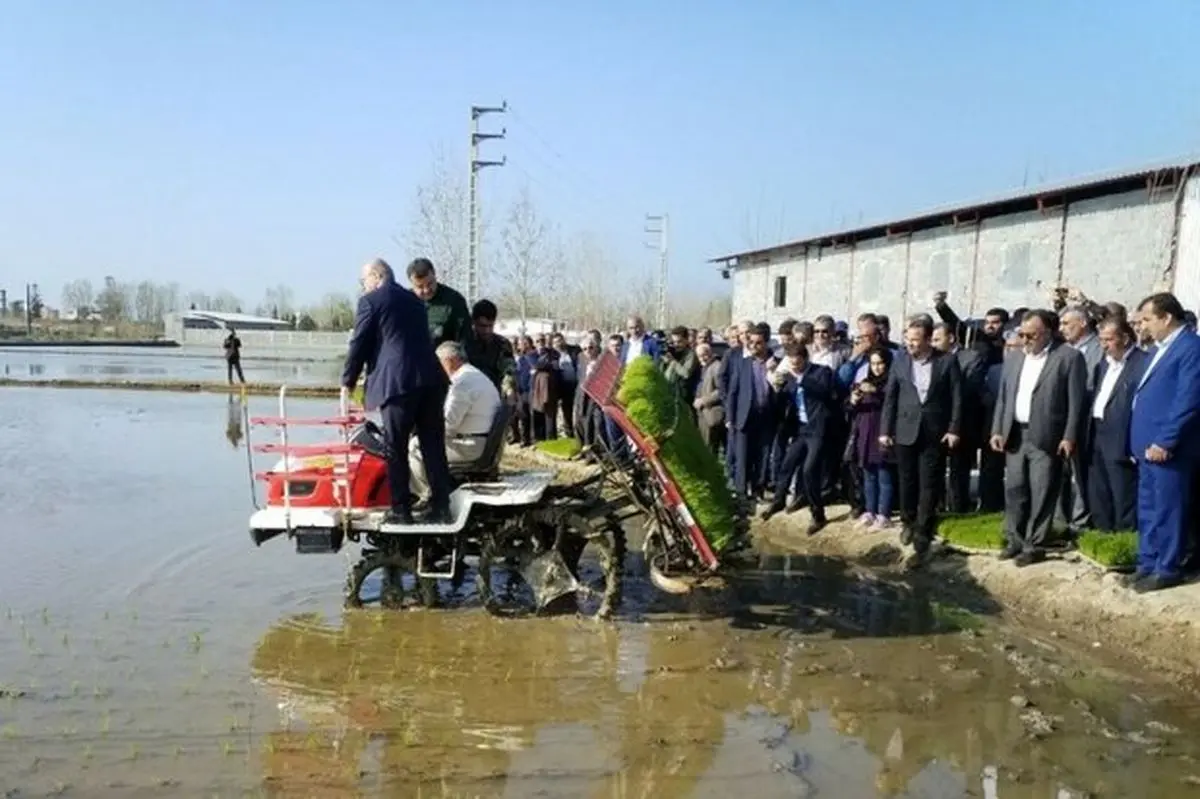 اولین نشاء مکانیزه برنج کشور در بابلسر انجام شد
