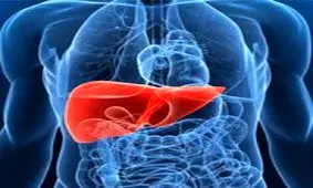 ارتباط "سایز شکم" با بیماری "کبد چرب"