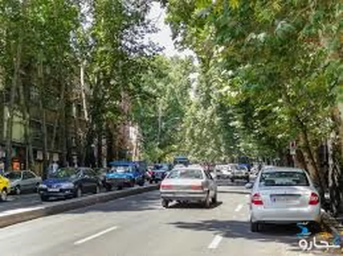 سقوط درخت عظیم‌الجثه ۱۰۰ ساله در خیابان ولیعصر تهران