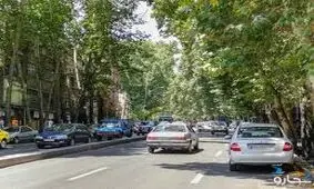 سقوط درخت عظیم‌الجثه ۱۰۰ ساله در خیابان ولیعصر تهران