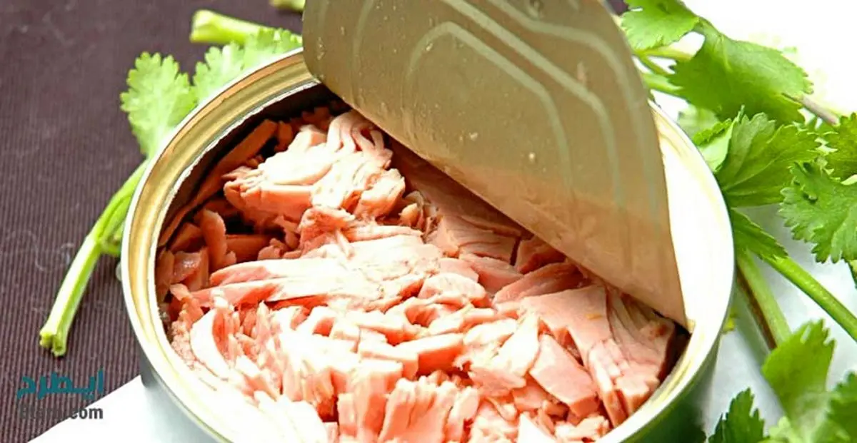 چگونه تن ماهی فاسد را تشخیص دهیم؟