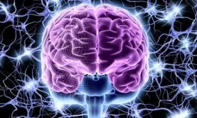 دارویی که موجب توربوشارژ مغز می‌شود