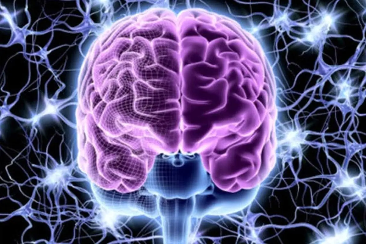 دارویی که موجب توربوشارژ مغز می‌شود
