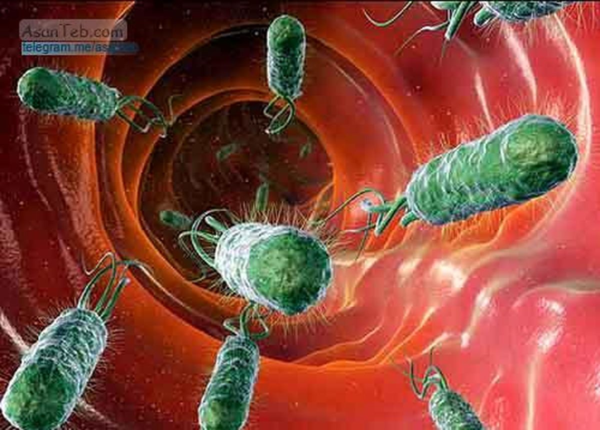 گروگانگیری سلول‌های بدن توسط یک باکتری