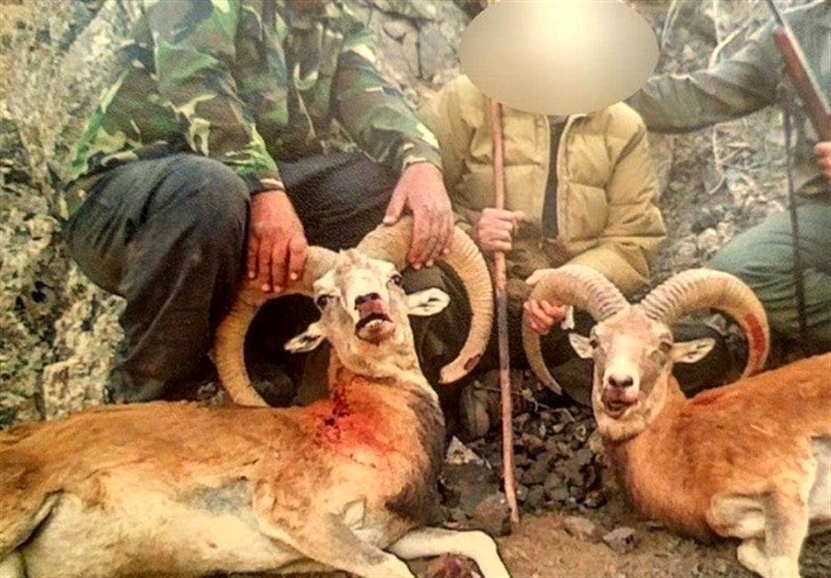 دستگیری محیطبانی که با شکارچیان همکاری میکرد