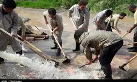 فرش‌شویی جهادی اعضای موکب شهدای کرمانشاه در لرستان + تصاویر